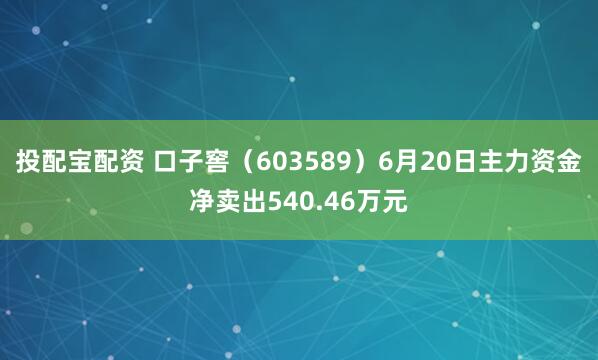 投配宝配资 口子窖（603589）6月20日主力资金净卖出540.46万元